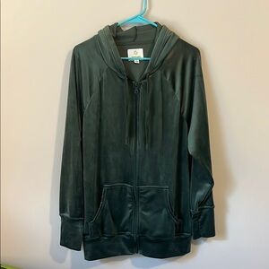 LAST CALL aerie offline velvet hoodie